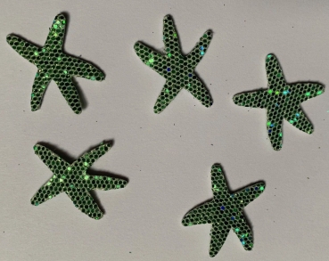 Seestern grün irisierend